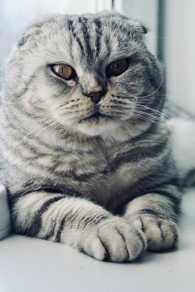 Photograph by Ксения Леонова
