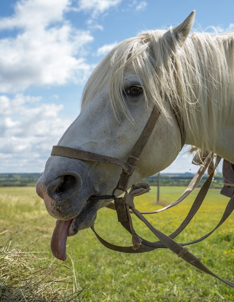 Photograph by Юрий Чернов