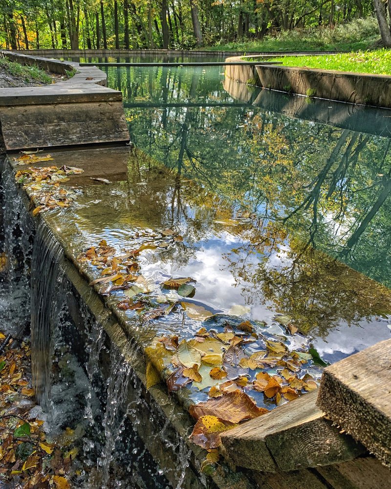 Photograph by Юлия Гусарова