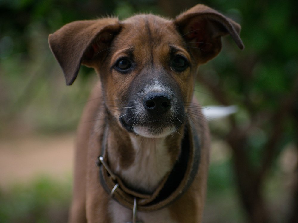 Photograph by PRABANJAN KARUPPUSAMY