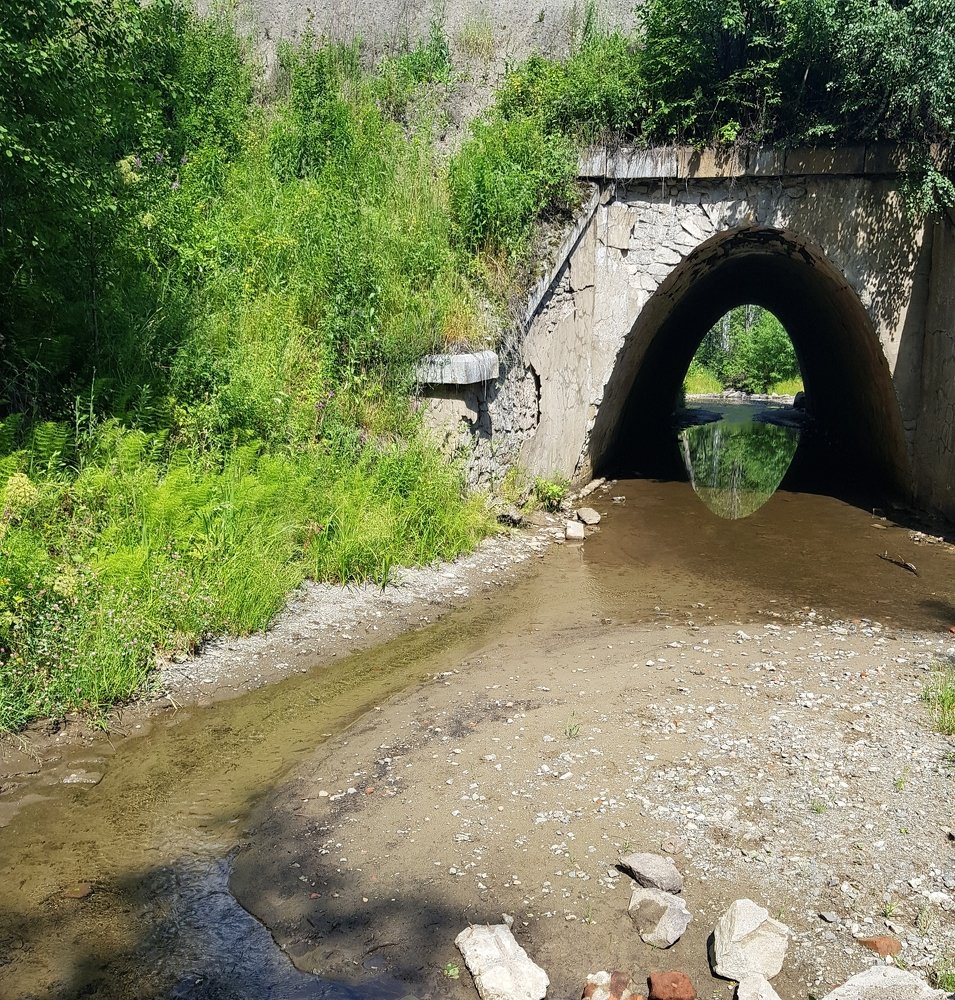 Photograph by Алексей Скоморохов