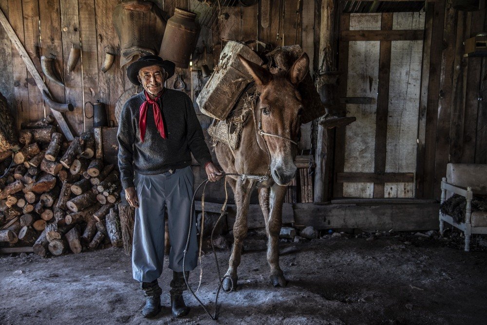 Photograph by Fernando Kluwe Dias