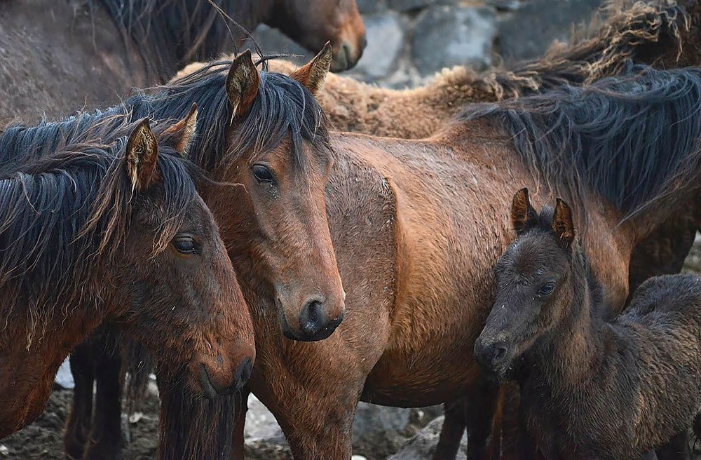 Фотография автора AYLIN EROZCAN