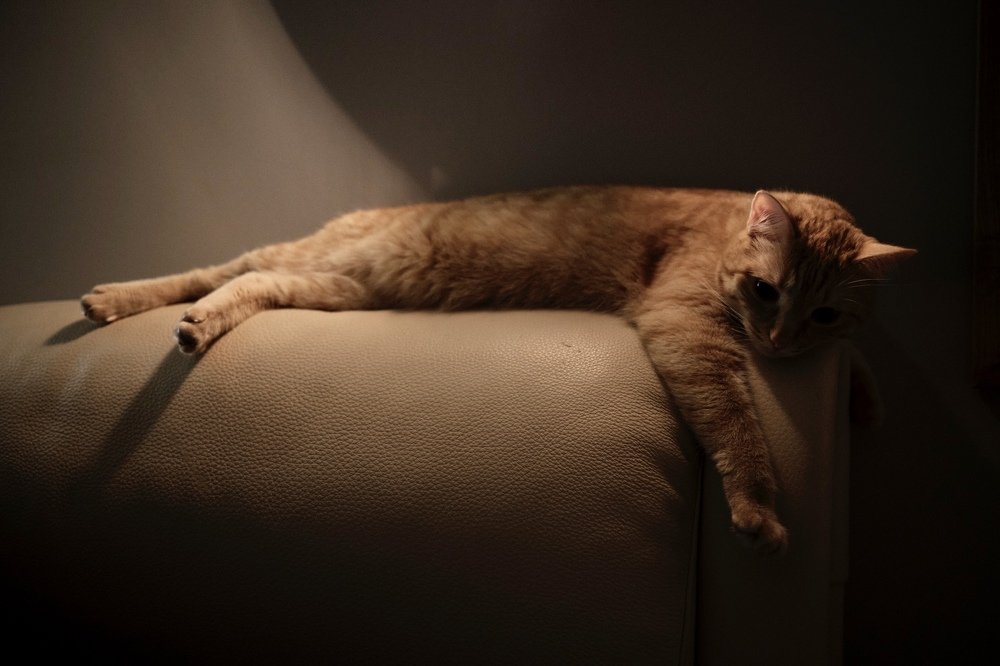 Photograph by Артур Газиев