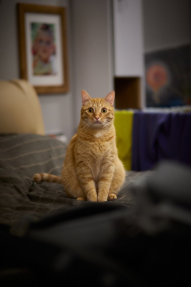 Photograph by Артур Газиев