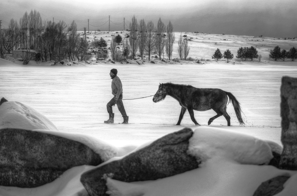 Фотография автора AYLIN EROZCAN