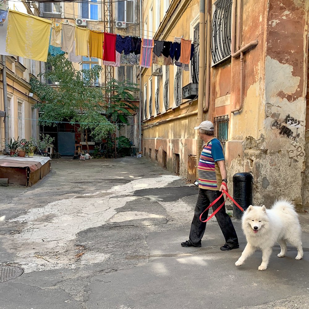 Photograph by Александр Чернега