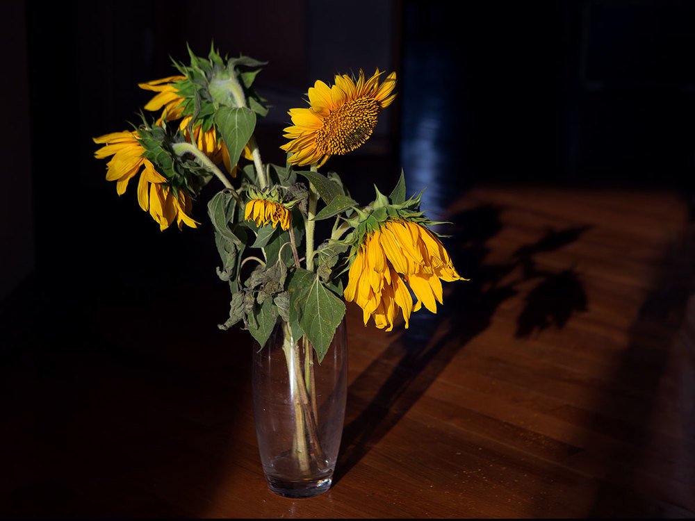 Photograph by Ольга Юсупова