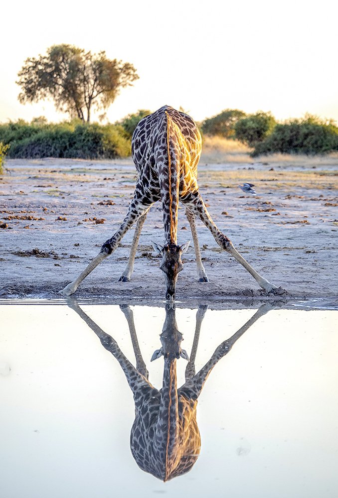 Photograph by Arturo Bullard