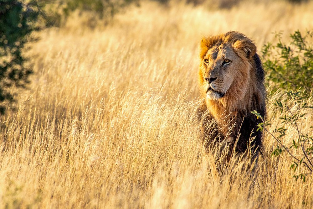 Photograph by Arturo Bullard