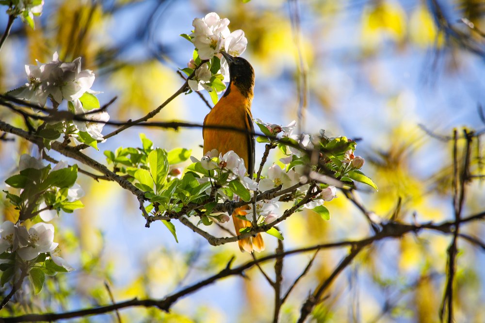 Photograph by Olga Vasina