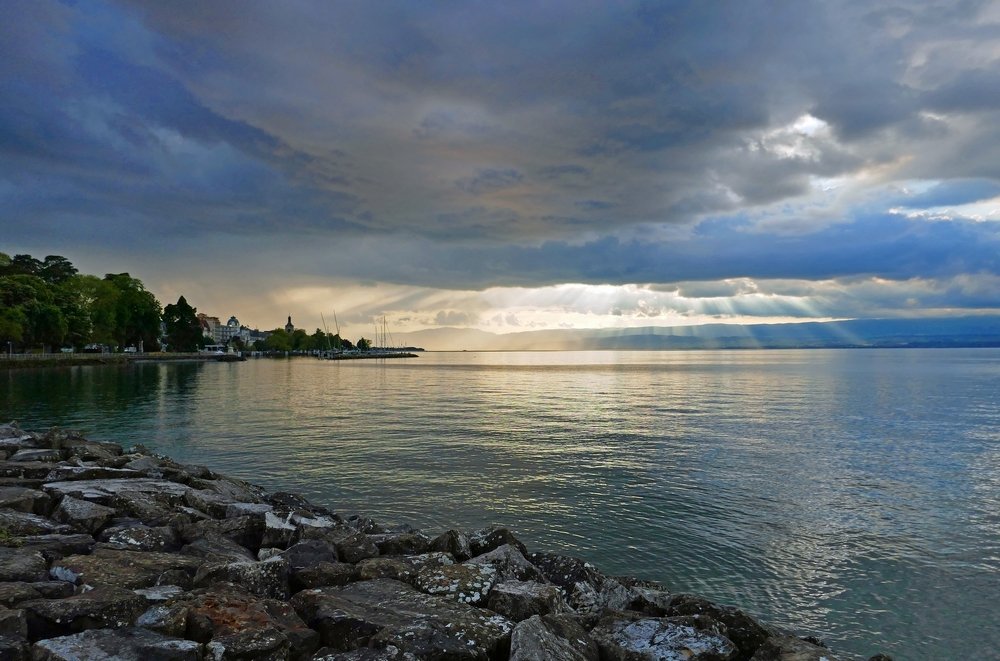Leman Lake : reflections