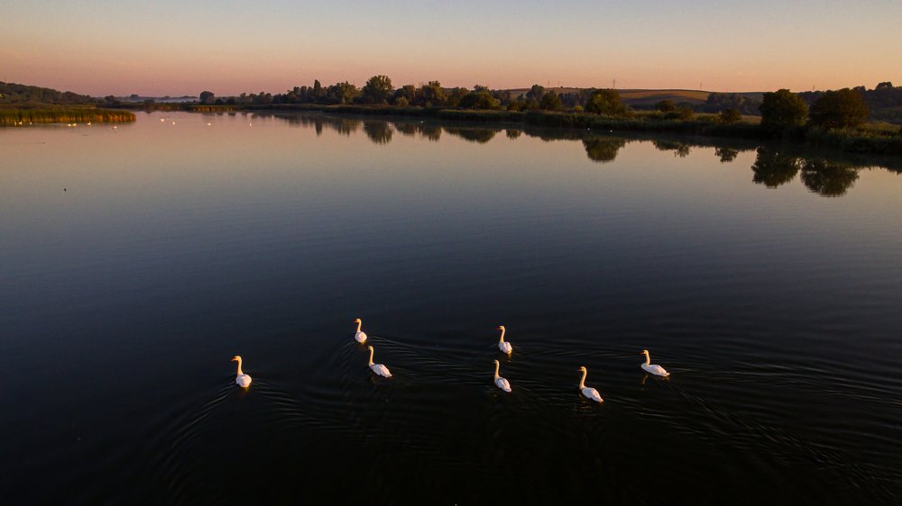 Photograph by Ádám Fáth