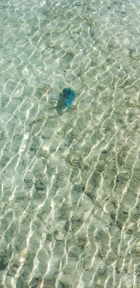 Photograph by Darlene