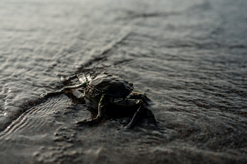 Photograph by Константин Пинигин