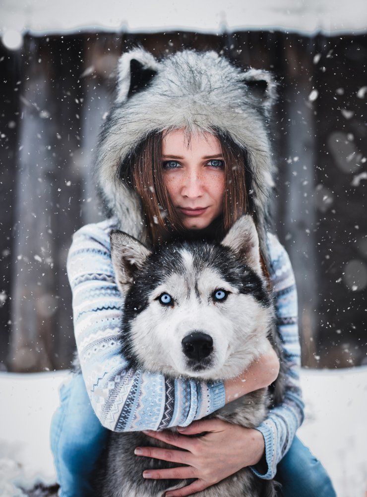 Зимние хаски.