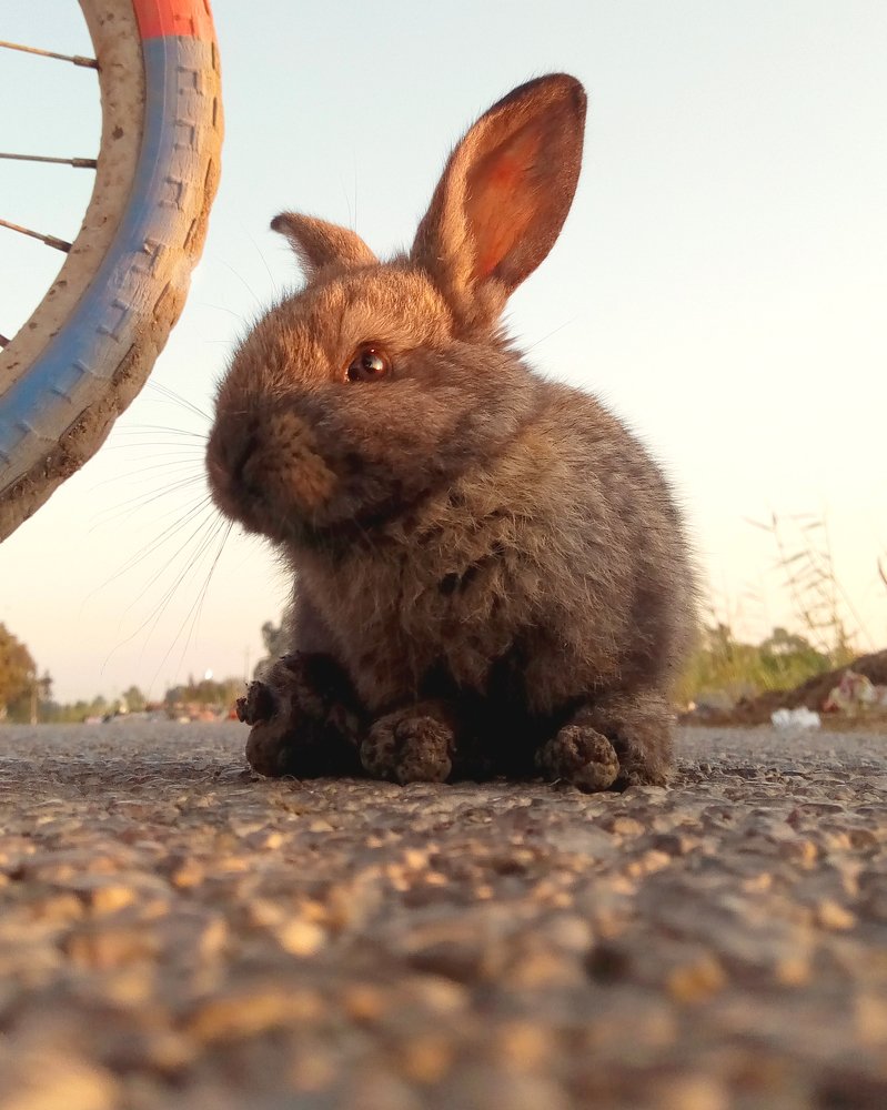 Photograph by Mahmoud Ahmed