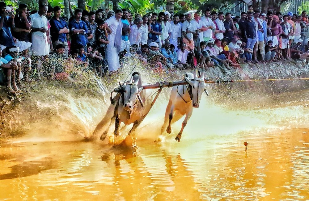 Photograph by M Ali PK