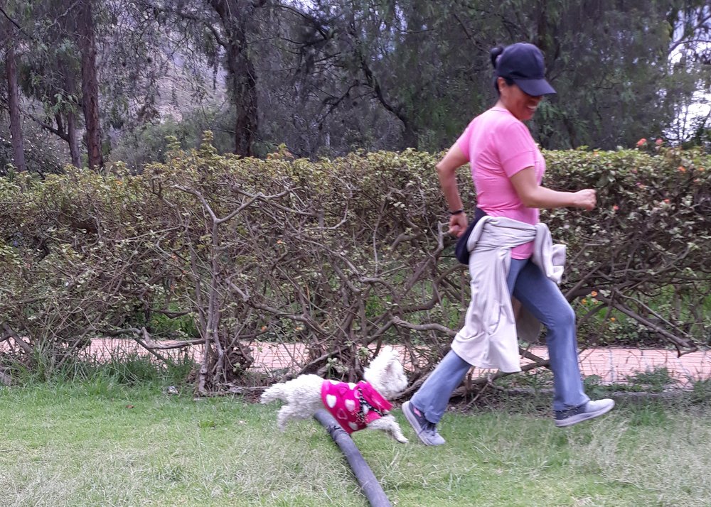 Photograph by Jenny Romero