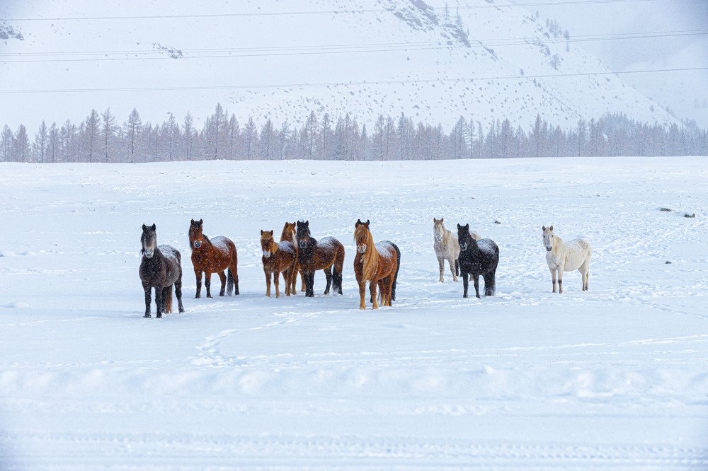 Photograph by ИРЕНА Федорова
