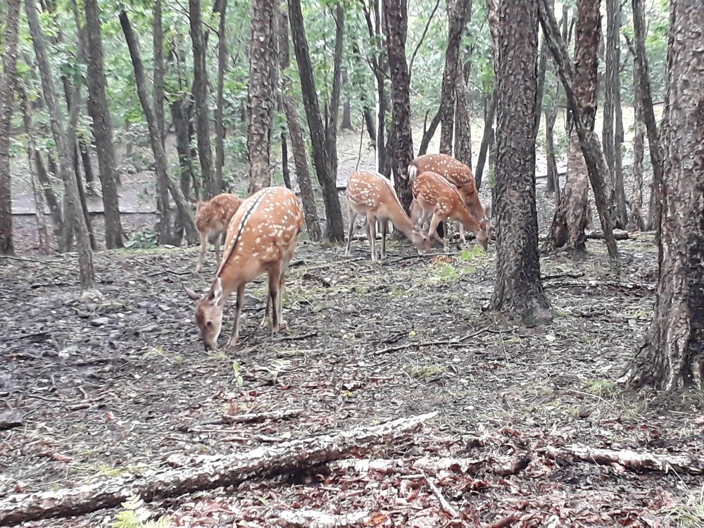 Photograph by  Людмила