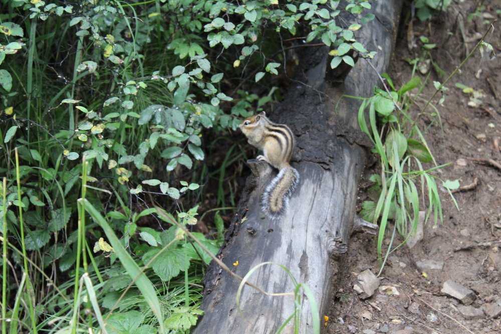 Photograph by  Людмила