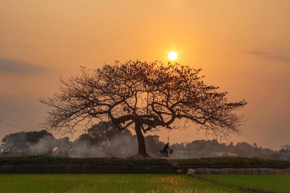 Photograph by Anh Tuấn Trần