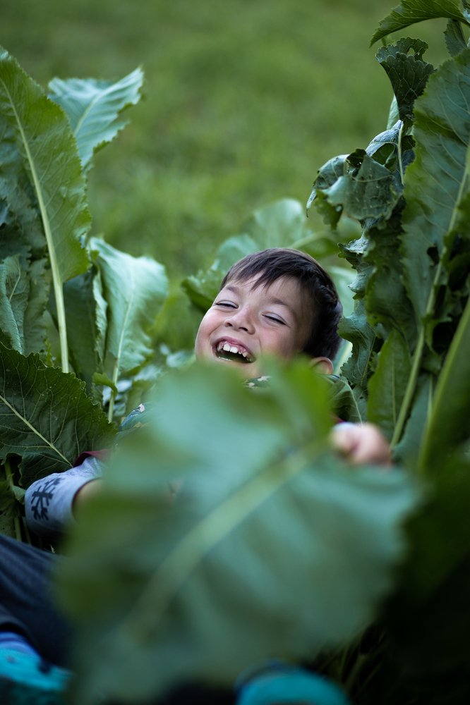 Хреновое настроение