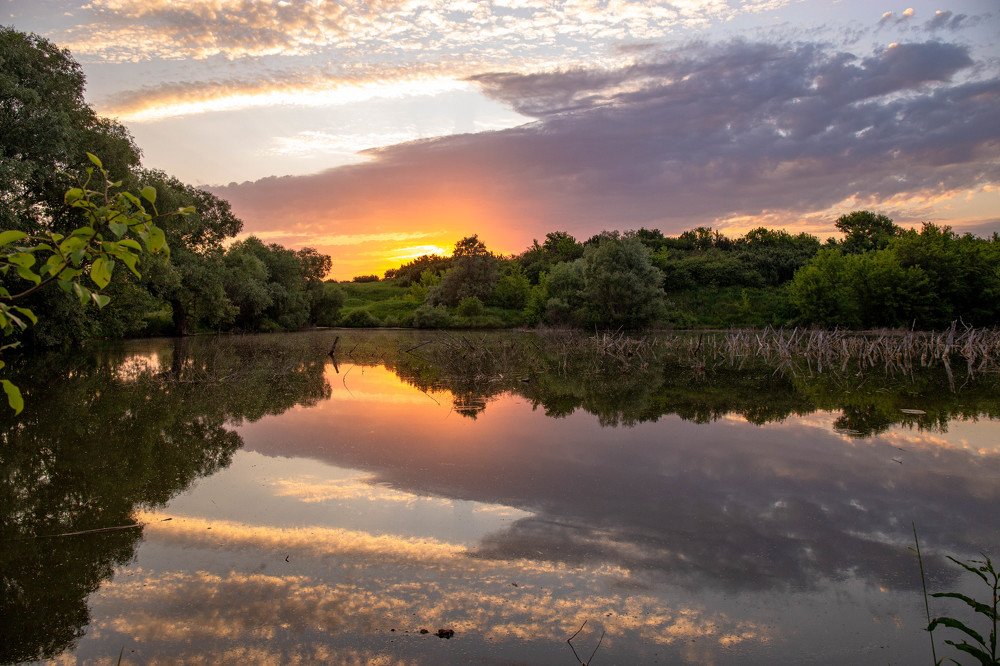 Photograph by Юлия Папанова