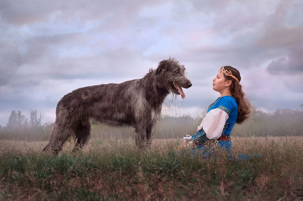 Photograph by Макарова Марина