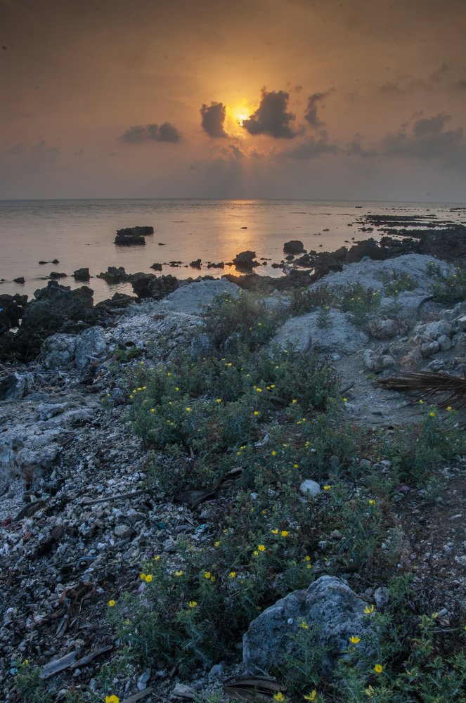 Photograph by Chamara Sulakkhana Polwatta Siriyalage