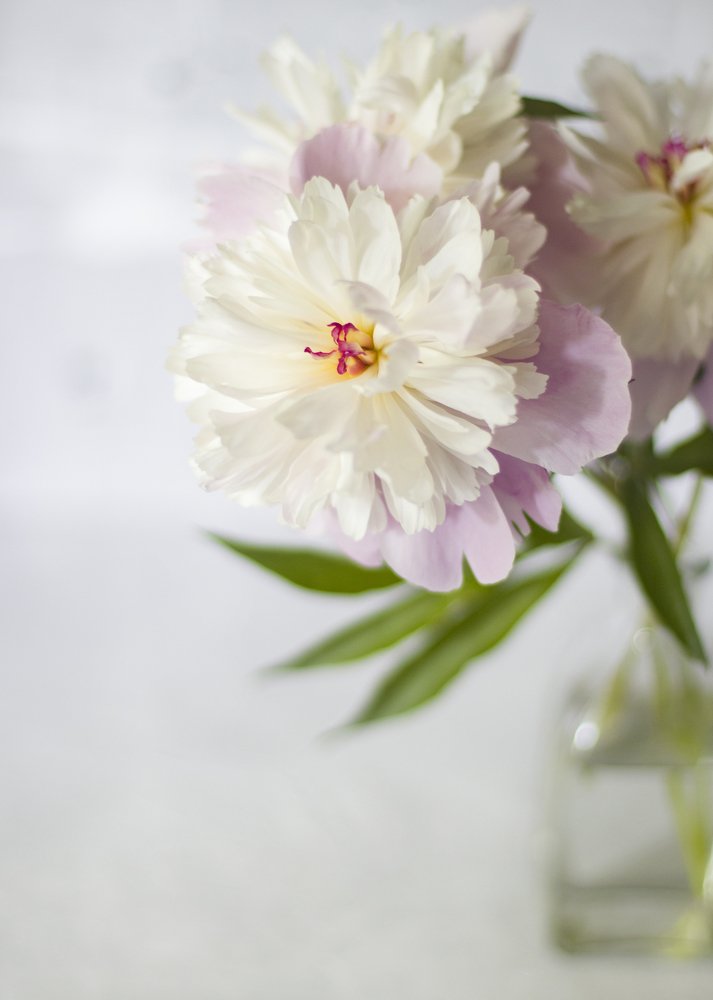 Photograph by Тараненко Анастасия