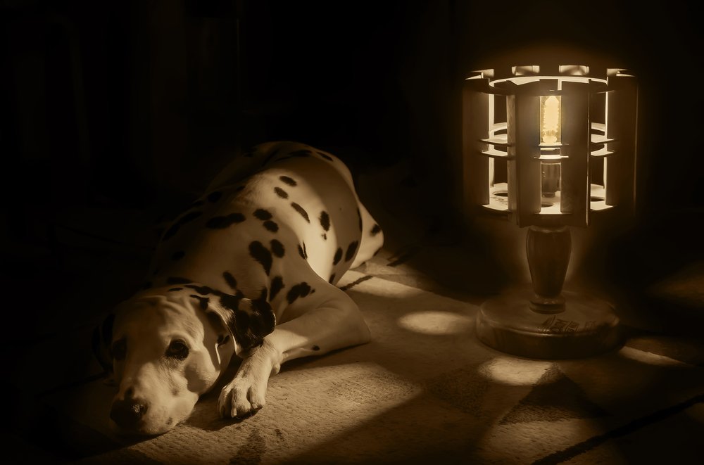 Photograph by Сергей Прокофьев