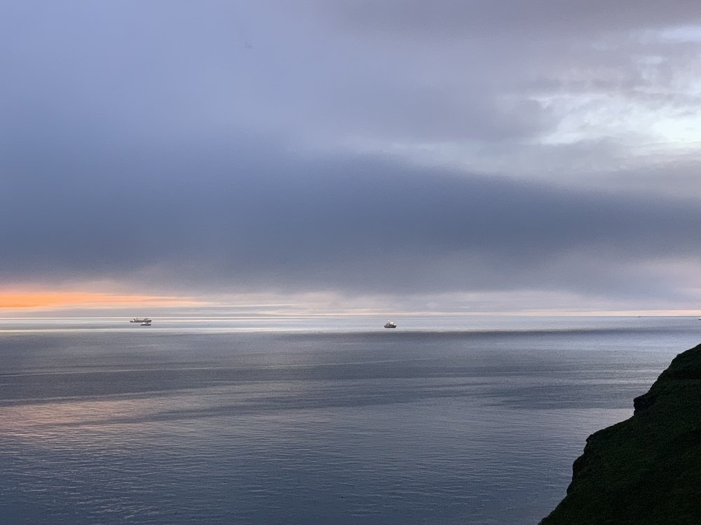 Photograph by Лазурченко Анастасия