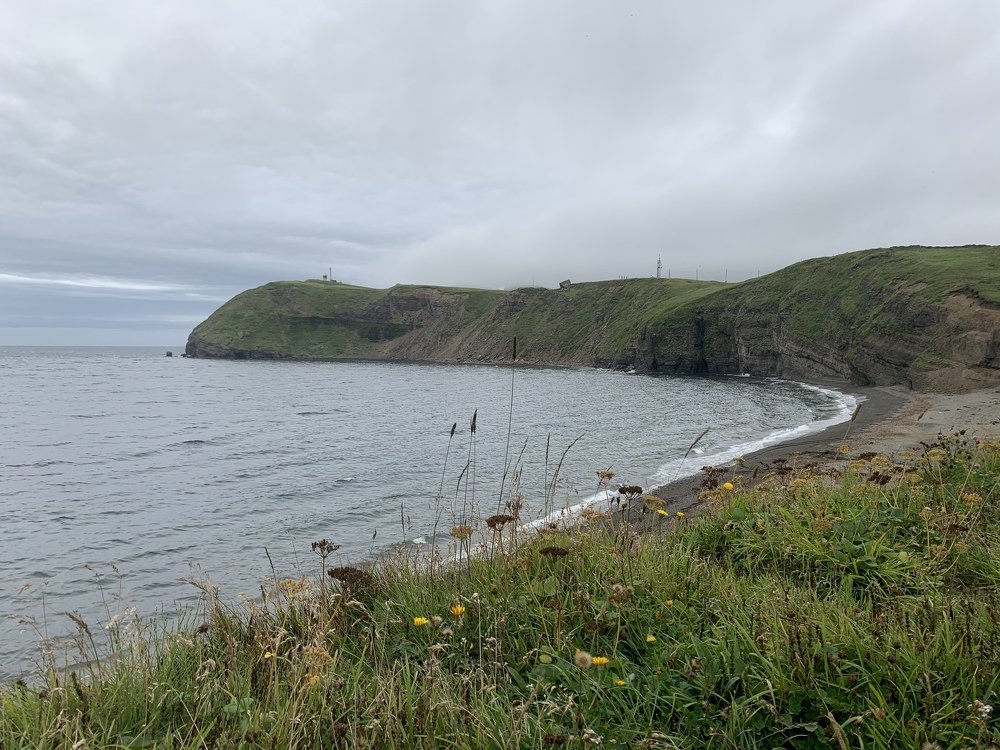 Photograph by Лазурченко Анастасия