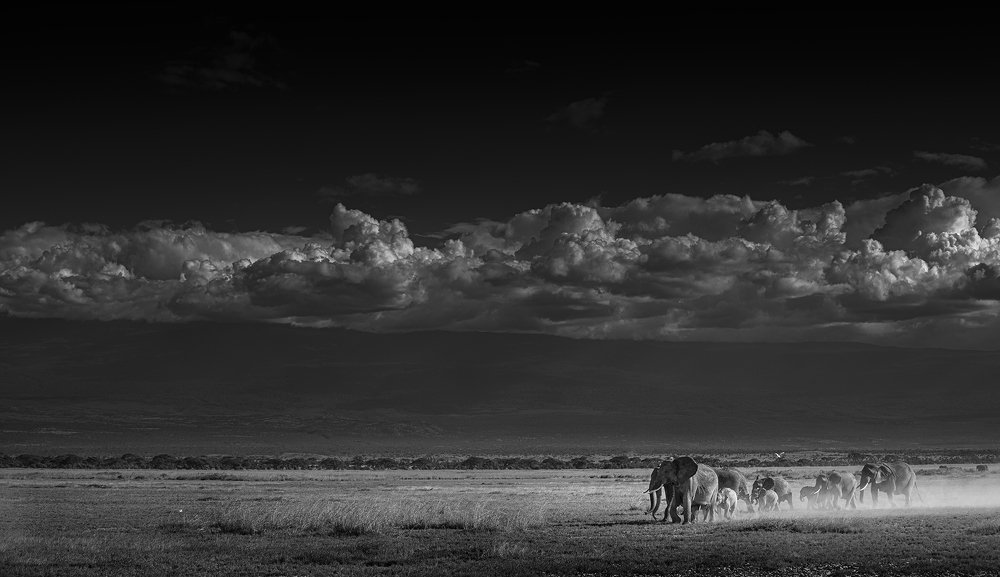 Фотография автора Ashok Behera