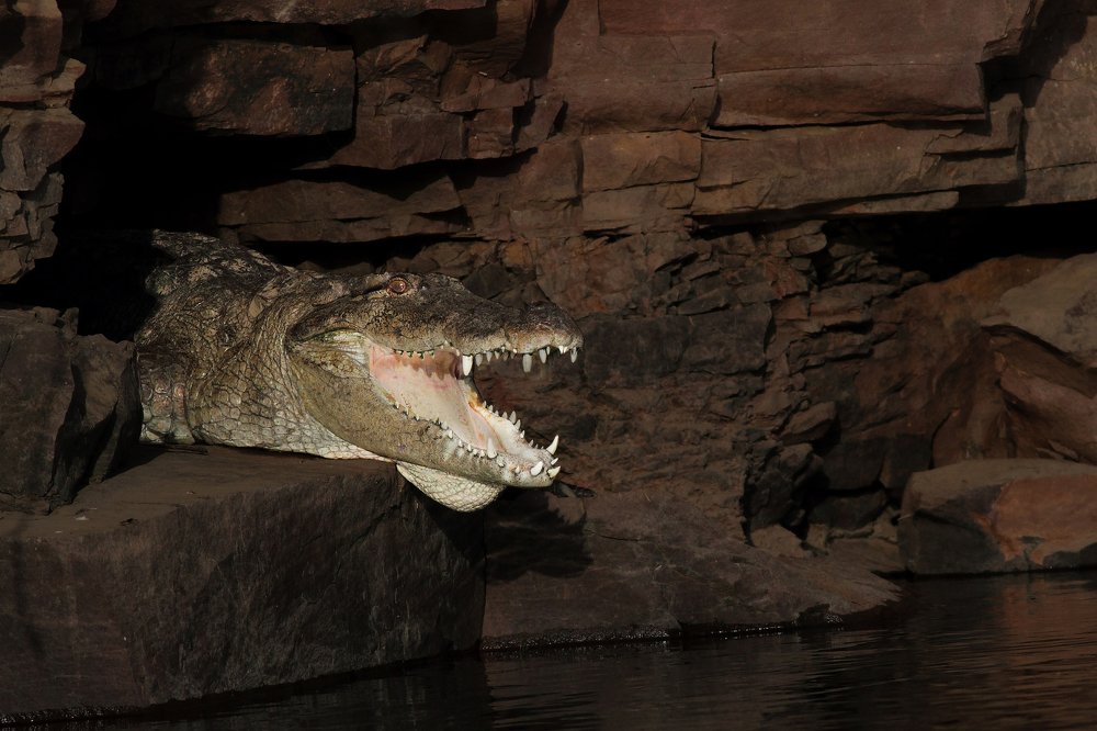 Photograph by Manish Arya