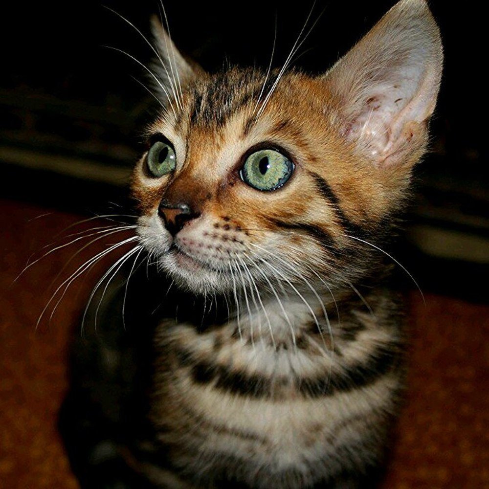 Photograph by Ирина Савина