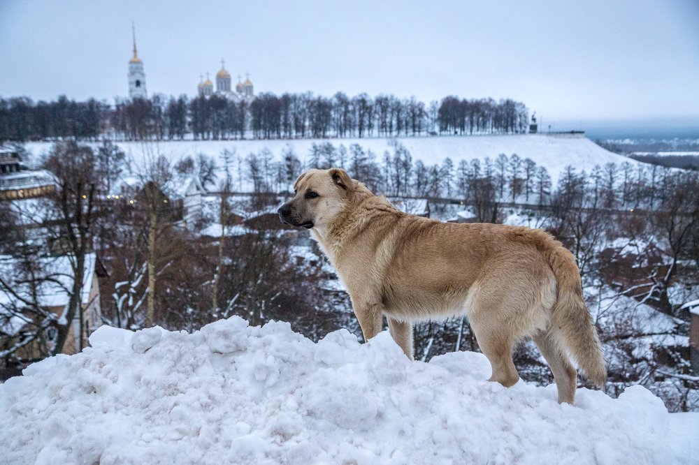 Photograph by Сергей Силкин