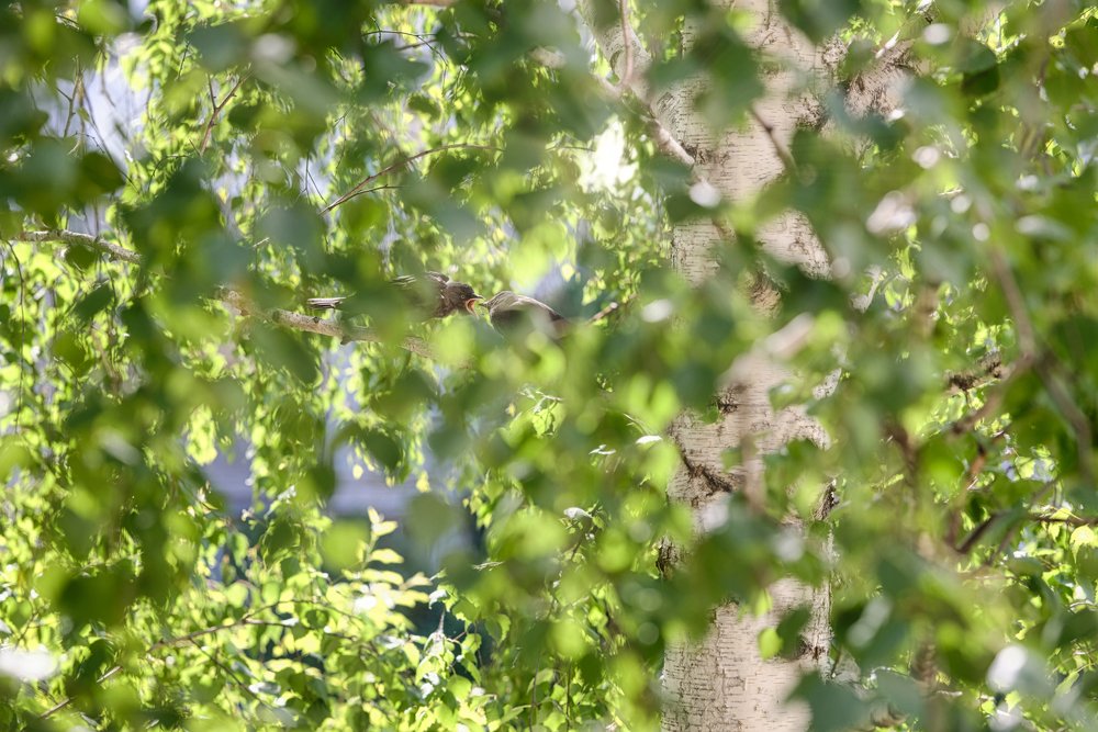 Photograph by Константин Киселев