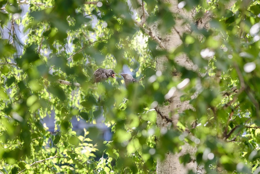 Photograph by Константин Киселев