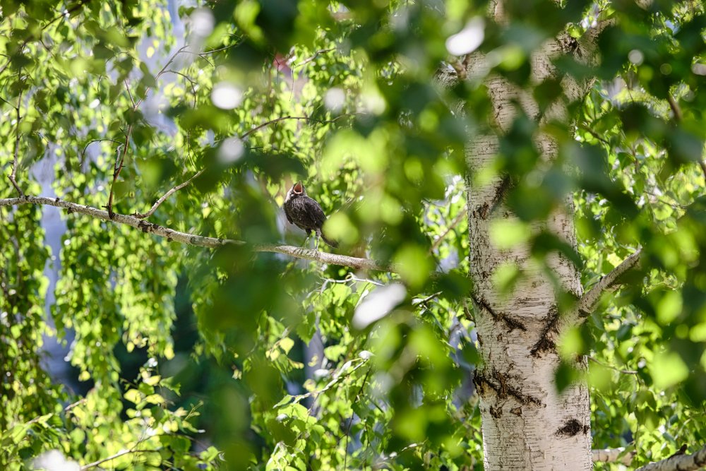 Photograph by Константин Киселев