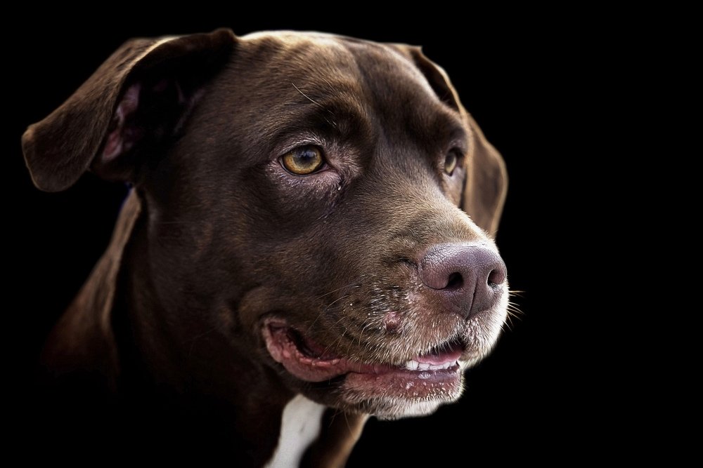 Photograph by Raed Victor Saad