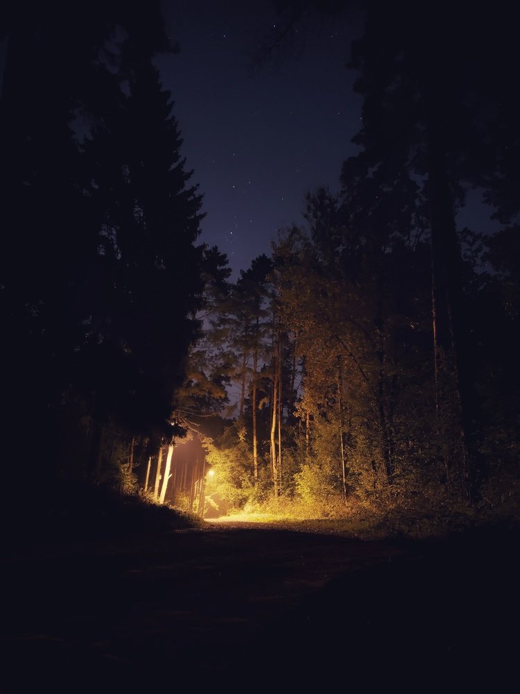 Road to the Train