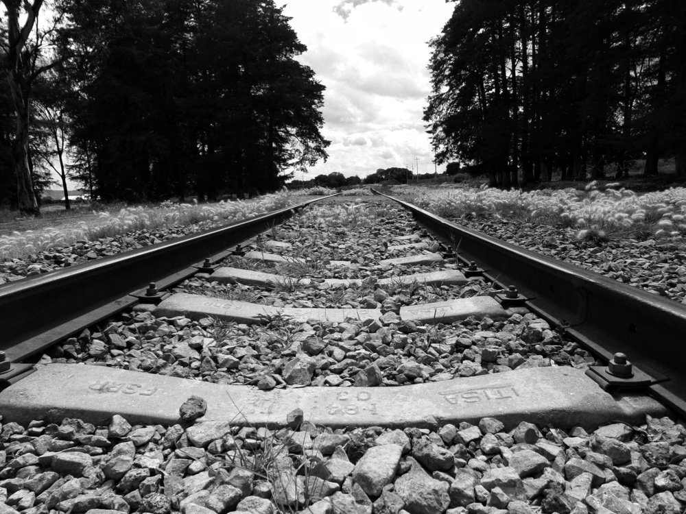 Photograph by Angie Vivanco