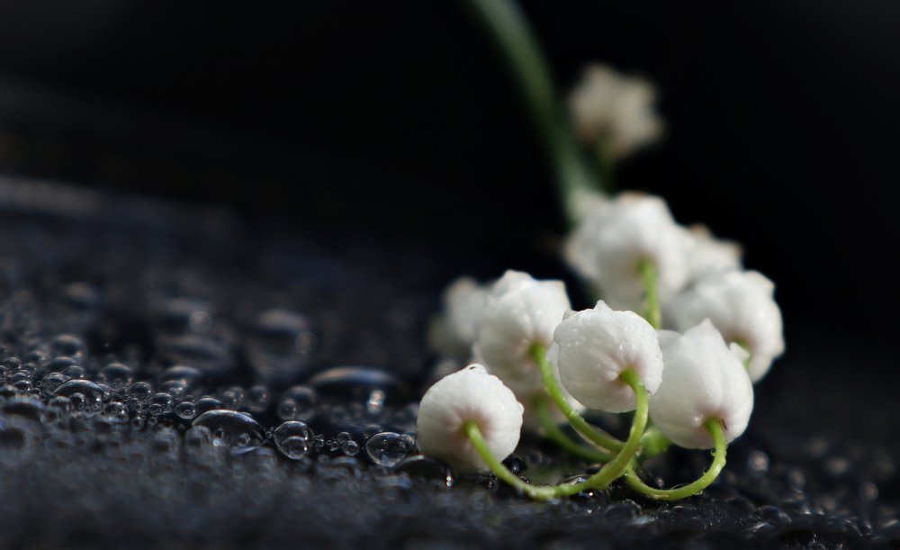 Photograph by Maryna Sydorova