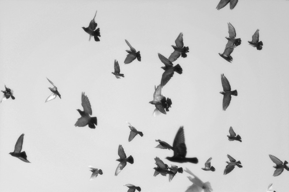 Photograph by Сериков Александр