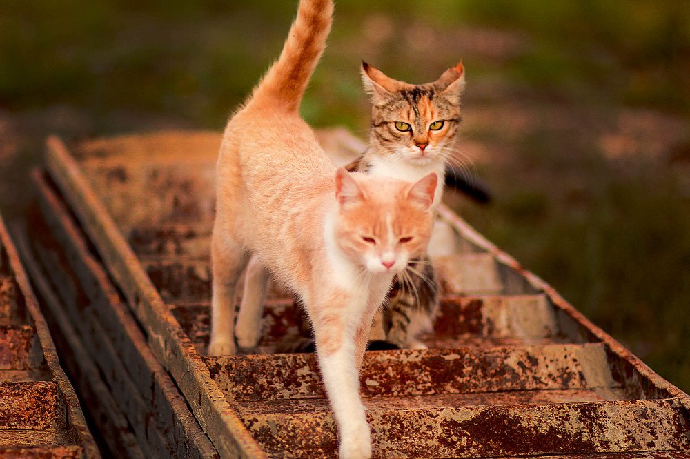 Really?! Again it's you!!