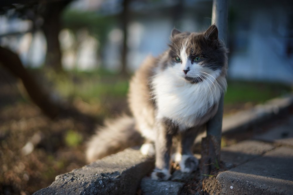 Photograph by Дмитрий Цыпляев