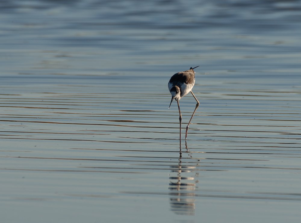 Photograph by Luis Miguel Rivas